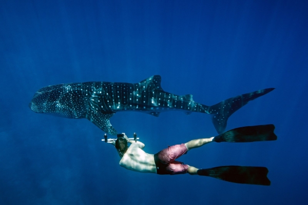 DIVING